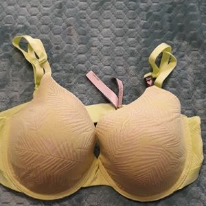 Bra